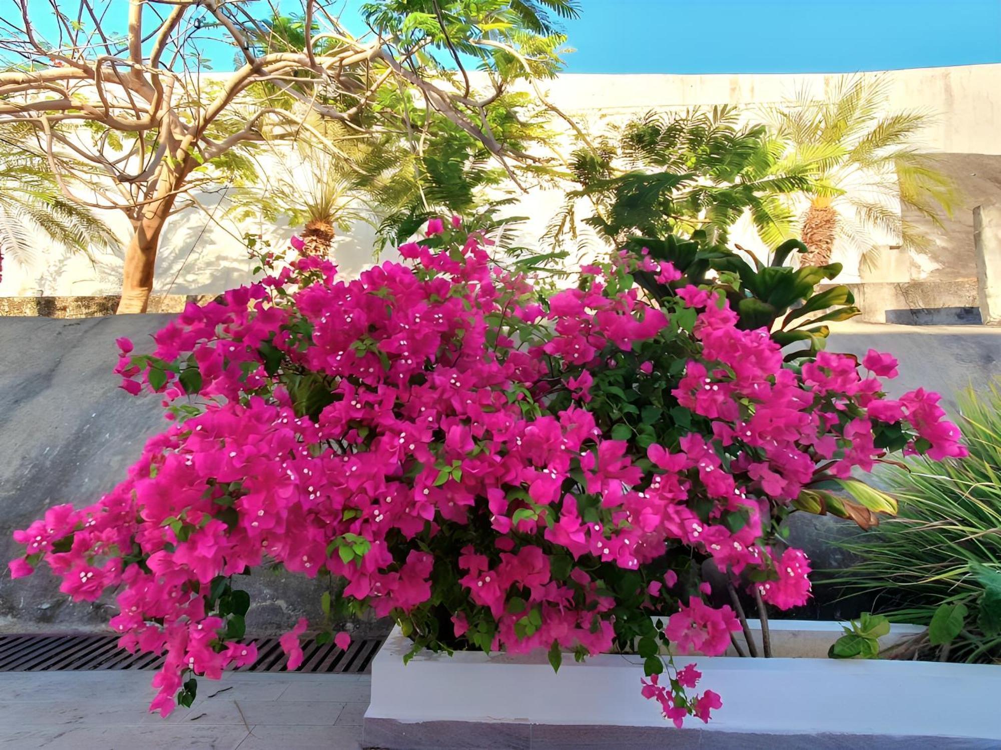 Beach Villa With Cozy Terrace Rio Hato Ngoại thất bức ảnh
